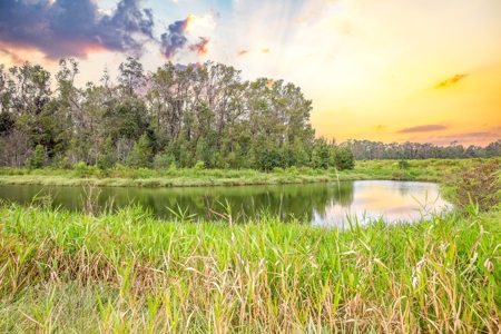 572 +/- Ac With Convention Center, Horse Trails For Sale! - image 40