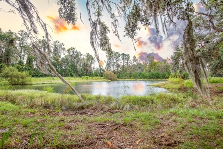 572 +/- Ac With Convention Center, Horse Trails For Sale! - image 28