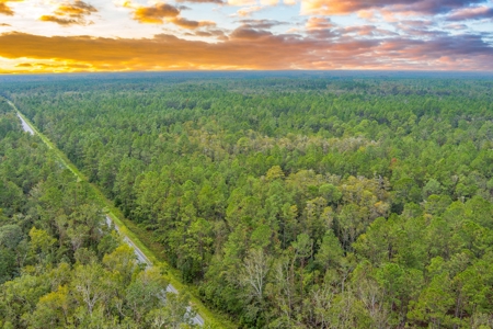 572 +/- Ac With Convention Center, Horse Trails For Sale! - image 50