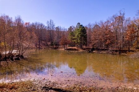 Country Home and Acreage Bordering the National Forest - image 41