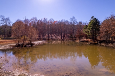 Country Home and Acreage Bordering the National Forest - image 42