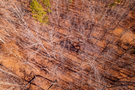 Country Home and Acreage Bordering the National Forest - image 38