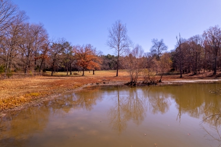Country Home and Acreage Bordering the National Forest - image 43