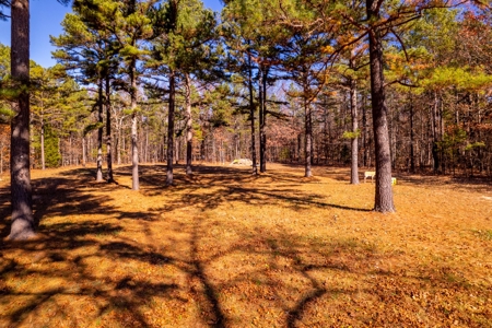 Country Home and Acreage Bordering the National Forest - image 39