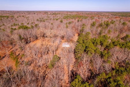 Country Home and Acreage Bordering the National Forest - image 37