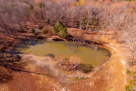 Country Home and Acreage Bordering the National Forest - image 40