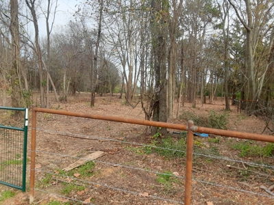 East Texas Winnsboro Wood County - 8 Acres No Restrictions! - image 8