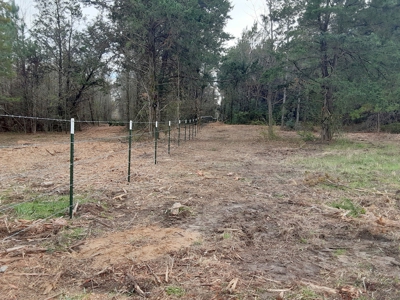 East Texas Winnsboro Wood County - 8 Acres No Restrictions! - image 10