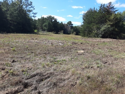 East Texas Winnsboro Wood County - 8 Acres No Restrictions! - image 4