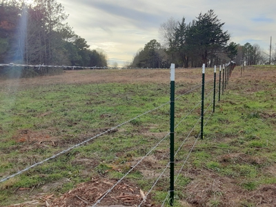 East Texas Winnsboro Wood County - 8 Acres No Restrictions! - image 12