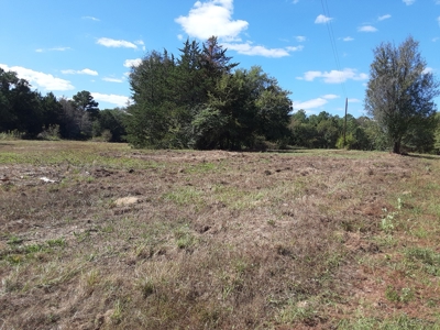 East Texas Winnsboro Wood County - 8 Acres No Restrictions! - image 3