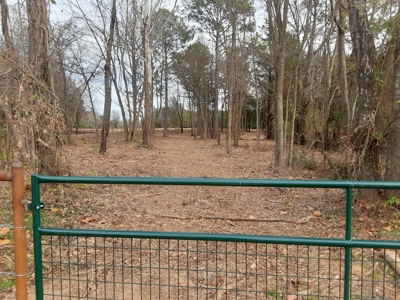 East Texas Winnsboro Wood County - 8 Acres No Restrictions! - image 7
