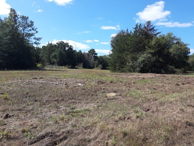 East Texas Winnsboro Wood County - 8 Acres No Restrictions! - image 1