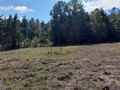 East Texas Winnsboro Wood County - 8 Acres No Restrictions! - image 2