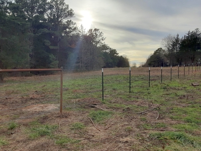 East Texas Winnsboro Wood County - 8 Acres No Restrictions! - image 9