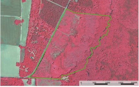 105.7 Creek Front Acres in Marlboro County South Carolina - image 2