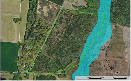 105.7 Creek Front Acres in Marlboro County South Carolina - image 3