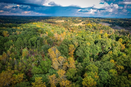 Private Acreage For Sale Near Albemarle in Stanly County NC - image 21