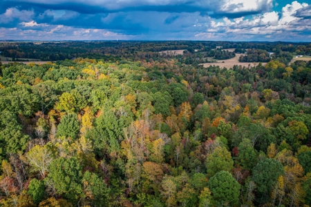 Private Acreage For Sale Near Albemarle in Stanly County NC - image 15