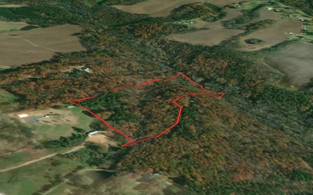 Private Acreage For Sale Near Albemarle in Stanly County NC - image 3