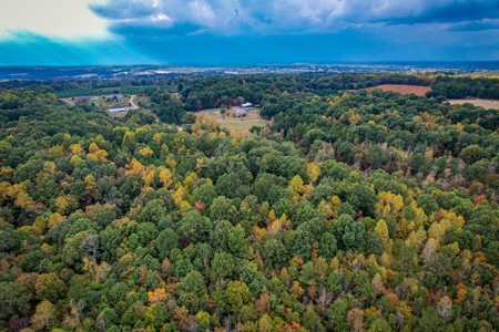 Private Acreage For Sale Near Albemarle in Stanly County NC - image 13