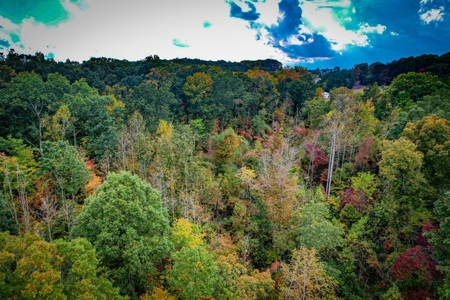 Private Acreage For Sale Near Albemarle in Stanly County NC - image 14