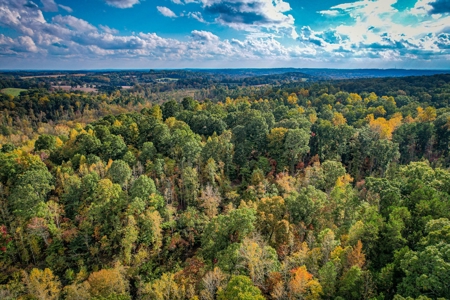 Private Acreage For Sale Near Albemarle in Stanly County NC - image 16