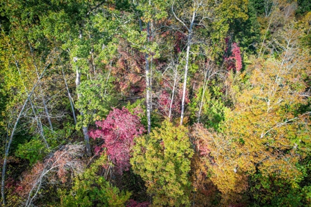 Private Acreage For Sale Near Albemarle in Stanly County NC - image 18