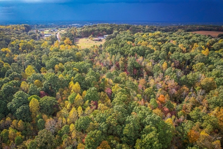 Private Acreage For Sale Near Albemarle in Stanly County NC - image 20