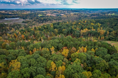Private Acreage For Sale Near Albemarle in Stanly County NC - image 11