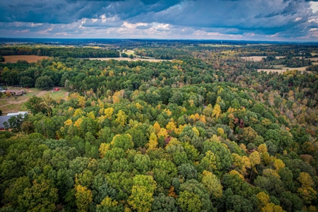 Private Acreage For Sale Near Albemarle in Stanly County NC - image 7