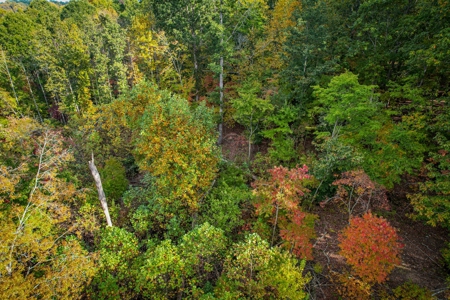 Private Acreage For Sale Near Albemarle in Stanly County NC - image 17