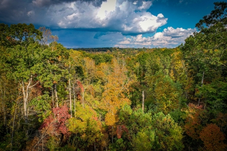 Private Acreage For Sale Near Albemarle in Stanly County NC - image 19