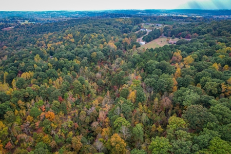 Private Acreage For Sale Near Albemarle in Stanly County NC - image 12