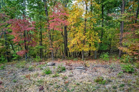 Private Acreage For Sale Near Albemarle in Stanly County NC - image 5