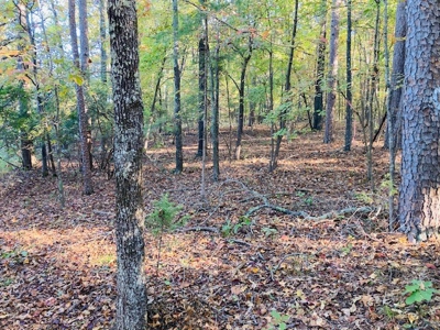 Wooded Acreage For Sale In North Central Arkansas - image 1