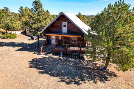 The Pines Hideaway: A Fort Peck Lake Log Cabin Retreat - image 8