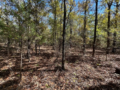 8 Acres For Sale near Bradford, AR - Mineral Rights Included - image 8