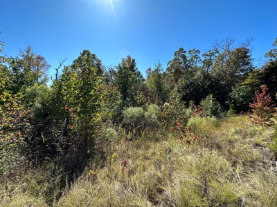 8 Acres For Sale near Bradford, AR - Mineral Rights Included - image 12