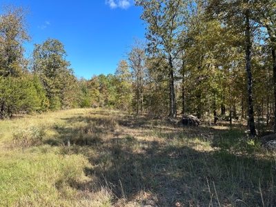 8 Acres For Sale near Bradford, AR - Mineral Rights Included - image 11