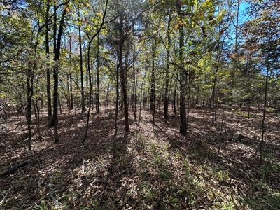 8 Acres For Sale near Bradford, AR - Mineral Rights Included - image 9