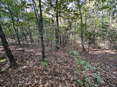 15.86 Acres of Pastures and Woods For Sale near Romance, AR - image 29