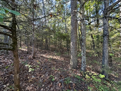 15.86 Acres of Pastures and Woods For Sale near Romance, AR - image 31