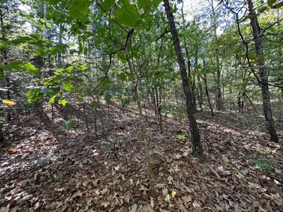 15.86 Acres of Pastures and Woods For Sale near Romance, AR - image 28