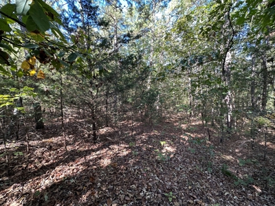 15.86 Acres of Pastures and Woods For Sale near Romance, AR - image 30