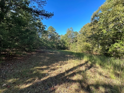 15.86 Acres of Pastures and Woods For Sale near Romance, AR - image 33