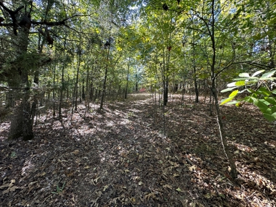 15.86 Acres of Pastures and Woods For Sale near Romance, AR - image 26