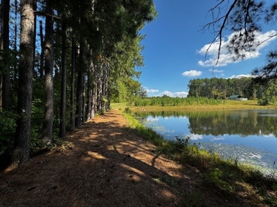 Off The Grid Retreat In Southern VA - image 10