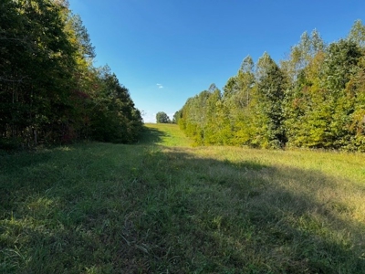 Off The Grid Retreat In Southern VA - image 34