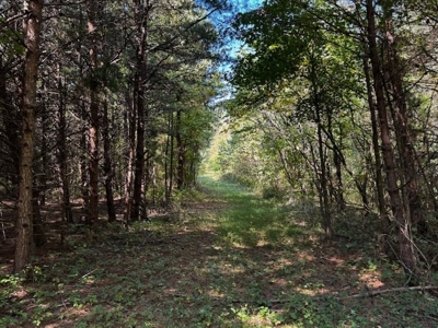 Off The Grid Retreat In Southern VA - image 30